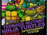 Teenage Mutant Ninja Turtle Wall Murals 682 Best Tmnt Images