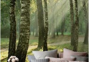 Teenage Wall Murals Uk Sea Of Trees forest Mural Wallpaper