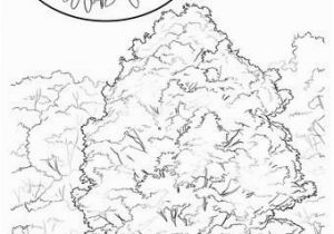 Tennessee State Tree Coloring Page 28 Idaho State Symbols Coloring Pages