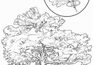 Tennessee State Tree Coloring Page Tennessee State Coloring Pages Inspirational Map Coloring Sheets