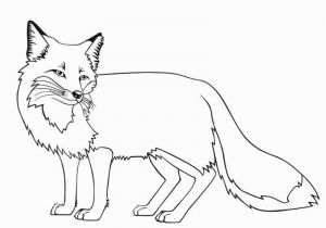 Terry Fox Coloring Pages Terry Fox Coloring Pages Best Fox Coloring Sheets Fox Coloring