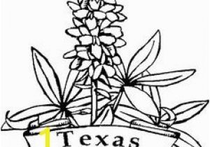 Texas Bluebonnet Coloring Page Bluebonnet Clip Art Google Search Tattoo Ca Tx Pinterest