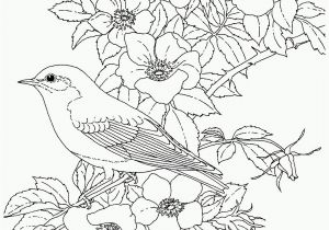 Texas Bluebonnet Coloring Page Part 2 Create and Printable Coloring Pages On Website