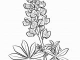 Texas Bluebonnet Coloring Page Part 2 Create and Printable Coloring Pages On Website