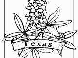 Texas Bluebonnet Coloring Page Texas State Flower Coloring Page Texas My Texas