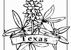 Texas Bluebonnet Coloring Page Texas State Flower Coloring Page Texas My Texas