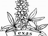 Texas Bluebonnet Coloring Page Texas Symbols