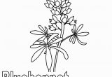 Texas Bluebonnet Coloring Page Texas Symbols