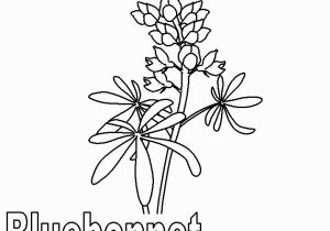 Texas Bluebonnet Coloring Page Texas Symbols