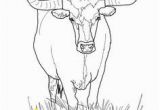 Texas Longhorns Coloring Pages 111 Best Bull Coloring Pages Images