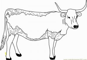 Texas Longhorns Coloring Pages Prodigious Coloring Pages Cow for Adults Picolour