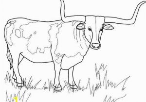 Texas Longhorns Coloring Pages Wild asian Water Buffalo Coloring Page Free Printable with