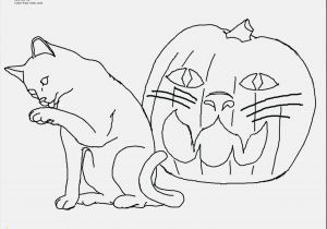 Thanksgiving Preschool Coloring Pages Free Print Coloring Pages Kitten at Coloring Pages