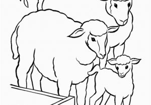The Addams Family Coloring Pages Easter Lamb Coloring Page