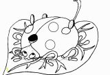 The Grouchy Ladybug Coloring Pages 15 Awesome Ladybug Coloring Page Stock