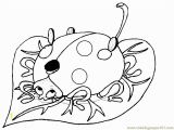 The Grouchy Ladybug Coloring Pages 15 Awesome Ladybug Coloring Page Stock