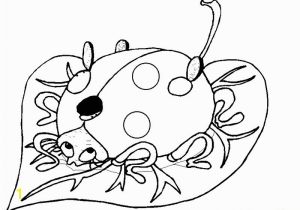The Grouchy Ladybug Coloring Pages 15 Awesome Ladybug Coloring Page Stock