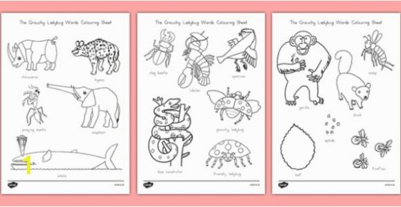 The Grouchy Ladybug Coloring Pages Ladybug Coloring Page Free Fresh the Grouchy Ladybug Words Coloring