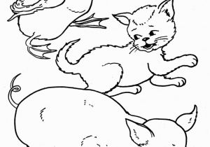 The Little Red Hen Coloring Pages Free Fairy Tales Little Red Hen Coloring Pages