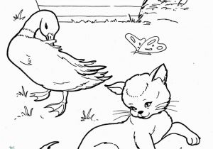 The Little Red Hen Coloring Pages Free Fairy Tales Little Red Hen Coloring Pages
