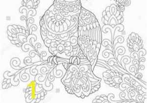 The Pigeon Coloring Pages 316 Best Birds Patterned Colouring Pages Images