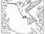 The Pigeon Coloring Pages 900 Best Bird Colouring Images