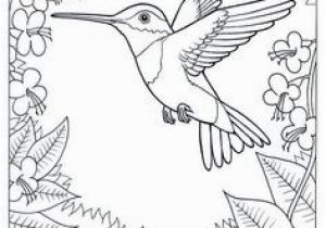 The Pigeon Coloring Pages 900 Best Bird Colouring Images