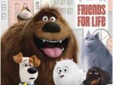 The Secret Life Of Pets Wall Murals 125 Best Secret Life Of Pets Images