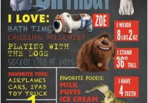 The Secret Life Of Pets Wall Murals 27 Best Snowball Secret Life Of Pets Images