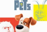 The Secret Life Of Pets Wall Murals Amazon Watch the Secret Life Of Pets