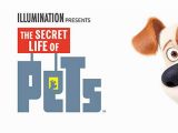 The Secret Life Of Pets Wall Murals Amazon Watch the Secret Life Of Pets