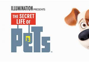 The Secret Life Of Pets Wall Murals Amazon Watch the Secret Life Of Pets