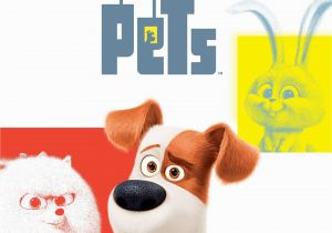 The Secret Life Of Pets Wall Murals Amazon Watch the Secret Life Of Pets