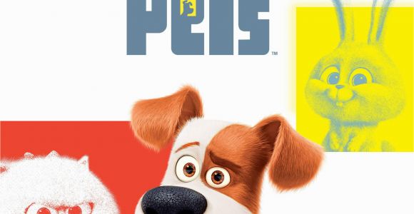 The Secret Life Of Pets Wall Murals Amazon Watch the Secret Life Of Pets