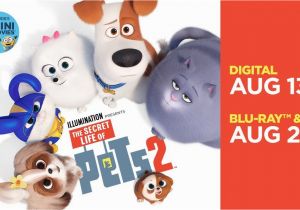 The Secret Life Of Pets Wall Murals the Secret Life Of Pets 2 Own It Digital now