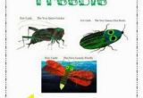 The Very Clumsy Click Beetle Coloring Pages 1836 Best Slp Book Related Freebies Images On Pinterest