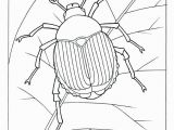 The Very Clumsy Click Beetle Coloring Pages Coloring Pages Insects