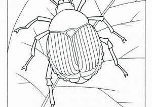 The Very Clumsy Click Beetle Coloring Pages Coloring Pages Insects