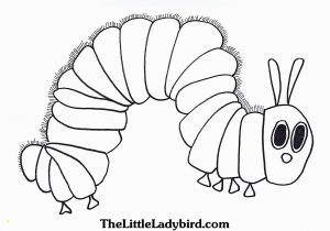 The Very Hungry Caterpillar Coloring Page Hungry Caterpillar Drawing at Getdrawings