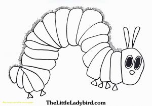 The Very Hungry Caterpillar Coloring Pages Free Very Hungry Caterpillar Coloring Pages Printables at