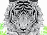 Tiger Face Coloring Pages the Menagerie
