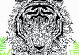 Tiger Face Coloring Pages the Menagerie