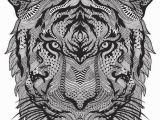 Tiger Outline Coloring Page Elegant Tiger Head Coloring – Hivideoshowfo