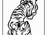 Tiger Outline Coloring Page Free Tiger to Print Download Free Clip Art Free