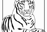 Tiger Outline Coloring Page Outline A Tiger Az Coloring Pages