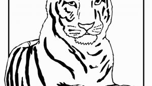 Tiger Outline Coloring Page Outline A Tiger Az Coloring Pages