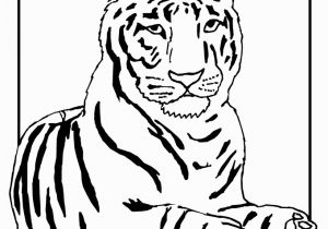 Tiger Outline Coloring Page Outline A Tiger Az Coloring Pages