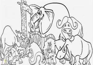 Toes Coloring Pages Detailed Animal Coloring Pages 13 S Printable Coloring Page