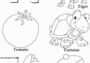 Tomatoes Coloring Pages Tiger Coloring Pages Best 29 Tiger Coloring Pages Printable