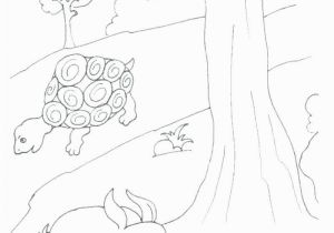 Tortoise and the Hare Coloring Page Category Coloring Pages 78